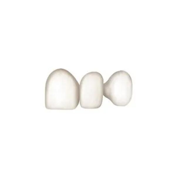 Exercising Chewing Function Dental Crown Bridge Pure Titanium Oral Hygiene
