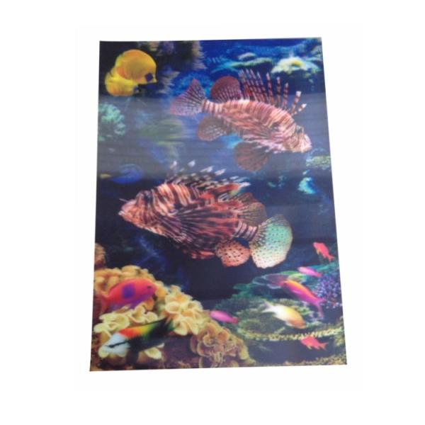 Waterproof 0.40mm PET Aquarium Pattern Paper Print Poster