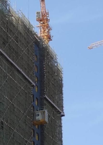 Construção de média velocidade 2 toneladas grua de pessoais e de materiais