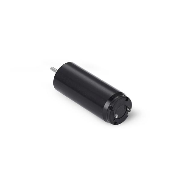 Faradyi Customized Coreless Brushless Dc Motor 12V Brushed 35Kg High Torque Coreless Motor 17Mm Ball Bearing With Wormgear