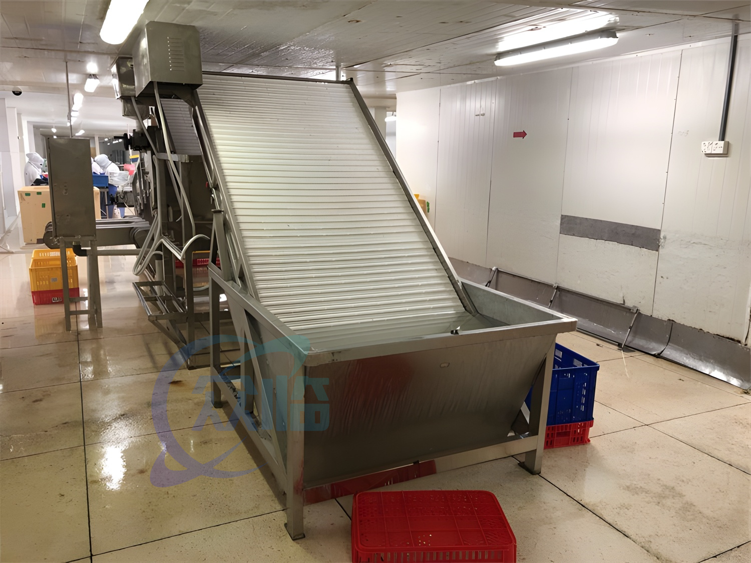 4.9kw Shrimp Processing Machine Prawn Roll Sorting Machine 1000kg-1200kg Capacity