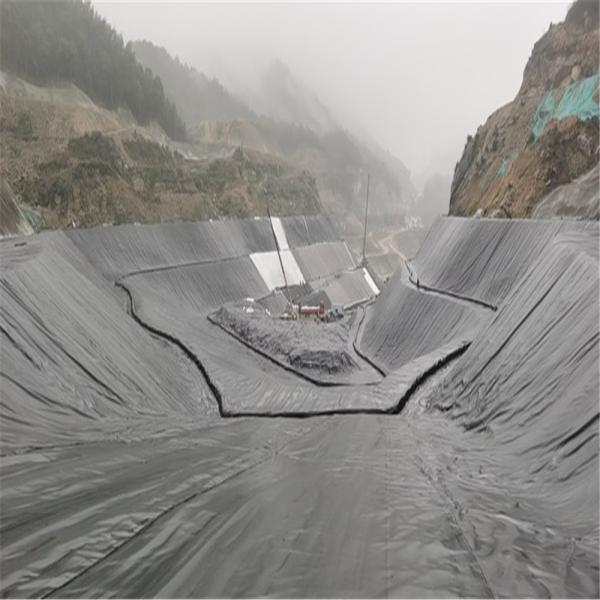 Глянцевая поверхность HDPE Geomembrane Liners 100% девственный HDPE для вылупления рыб на открытом воздухе