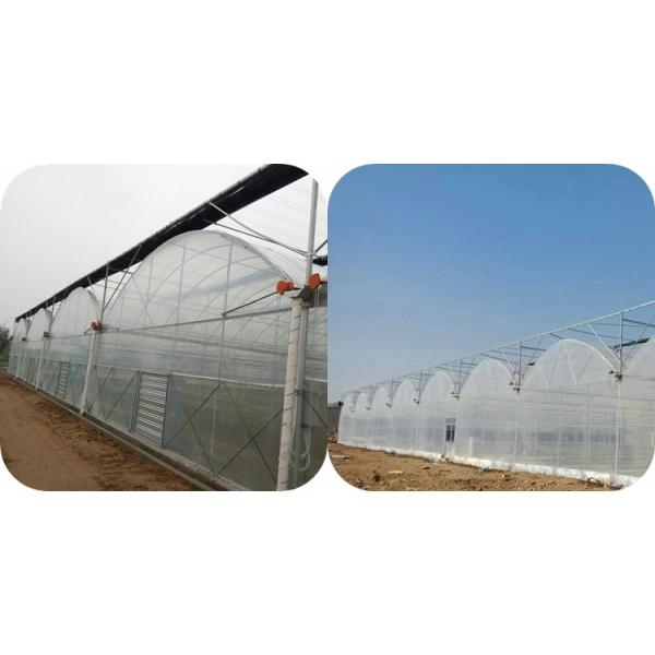Большая прозрачная пластиковая пленка с многопролетным тепличным палатком для выращивания прозрачная и прочная