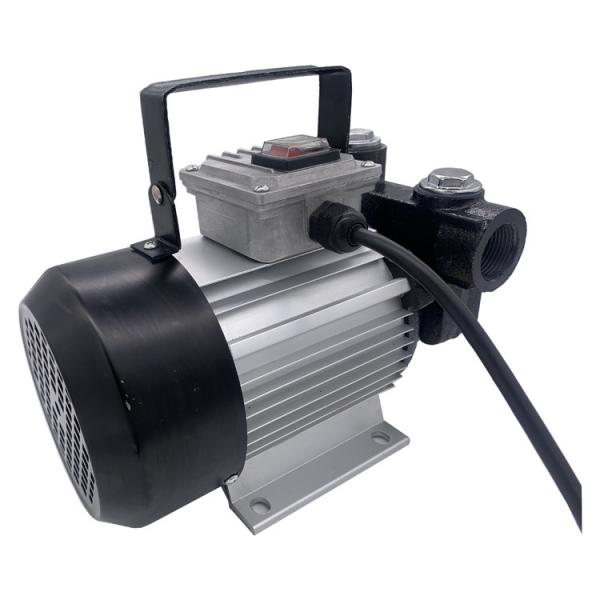 Mini Kerosene 200w Diesel Oil Pumps Drum Dispenser Electric Fuel Dc 12V