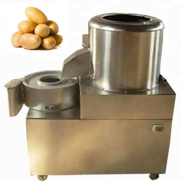 XYXC-C11 Fast food kitchen machine vegetable fruit processing line checking washing cutting weighting pre-treating machineries