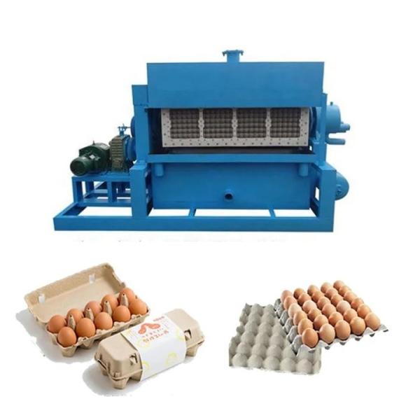Paper Egg Tray Production Line, Egg Carton Making Machine, mold made to customer request