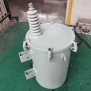 Oil Immersed Distribution Transformer 220V 240V IEC60076 Certified Step Down Transformer Supplier