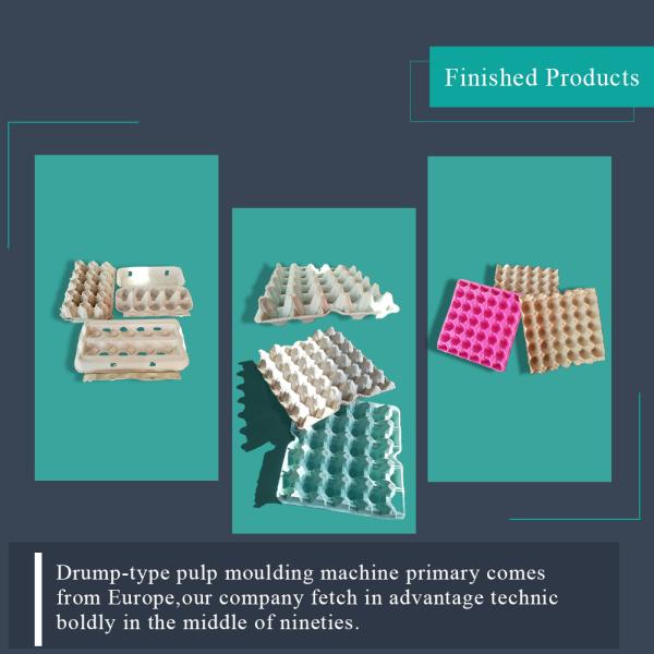 Small Semi-Automatic Paper Egg Tray Machines For Home Business Price