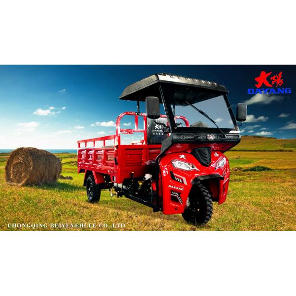 Задние пружинные листы 5 2 Моторизованный грузоподъемный трехколесный велосипед в Египте с двигателем Zongshen 250cc