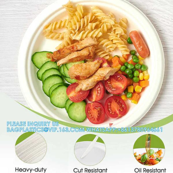 Wholesale High Quality Eco Paper Plate Happy Birthday Dessert Cake Reusable Paper Plate