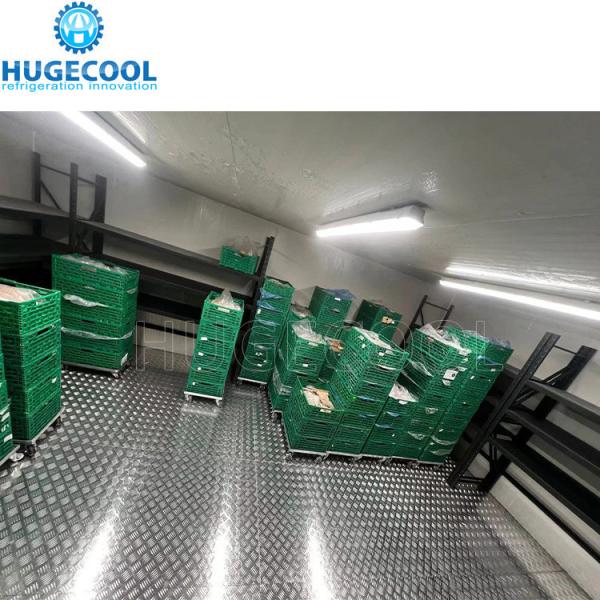 Chambre de stockage à froid de petite, moyenne et grande taille pour la personnalisation de la réfrigération de viande fraîche