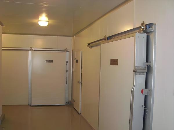 Polyurethane Foam Insulated Mobile Cold Storage Unit With Digital Temperature Control