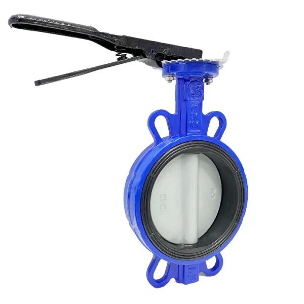 2 Inch Butterfly Valve Handle Wafer Type Cast Iron Manual Butterfly Valve