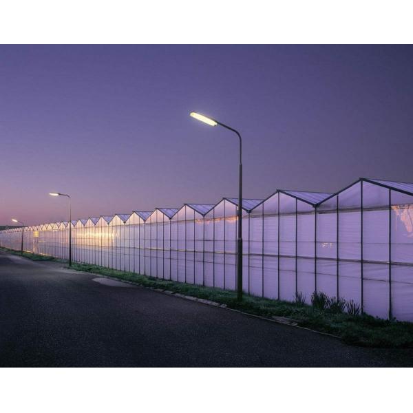 Venlo Galvanized Steel Pipe Greenhouse with Tower Garden and Optimal Shading System