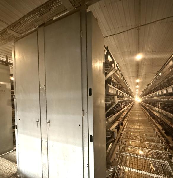 Durable Layer Chicken Cage for Poultry Farming Providing Optimal Space and Ventilation to Maximize Egg Production and Bird Health