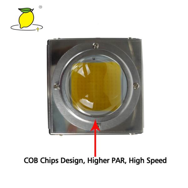 Полный спектр приведенный растет прожектор роста лампы крытый Phyto светлый для осеменять парника завода