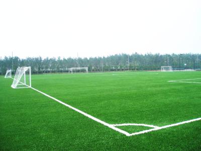 Ajardinando a certificação artificial do SGF ISO9001 da grama da falsificação do relvado do campo de futebol