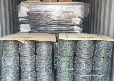 Hot Dipped Galvanized Barbed Wire Mesh Roll / Barbed Wire Mesh Fence Design