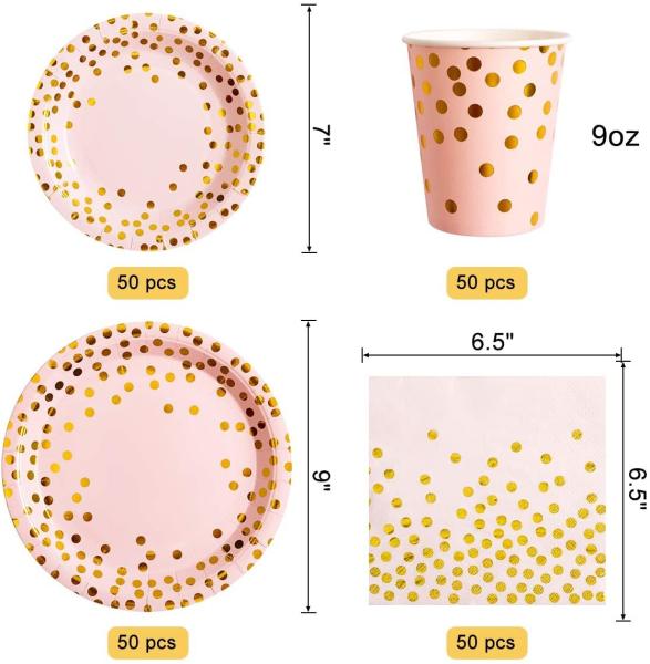 DT2096 Disposable Party Tableware