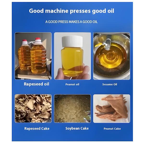 High Efficiency Stainless Steel Spiral Oil Press Machine with Adjustable Speed for Commercial Use