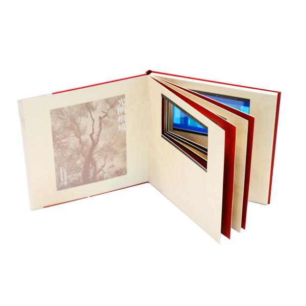 Comercialización casandose la memoria video del ODM 5GB de la resolución del libro 1024x600