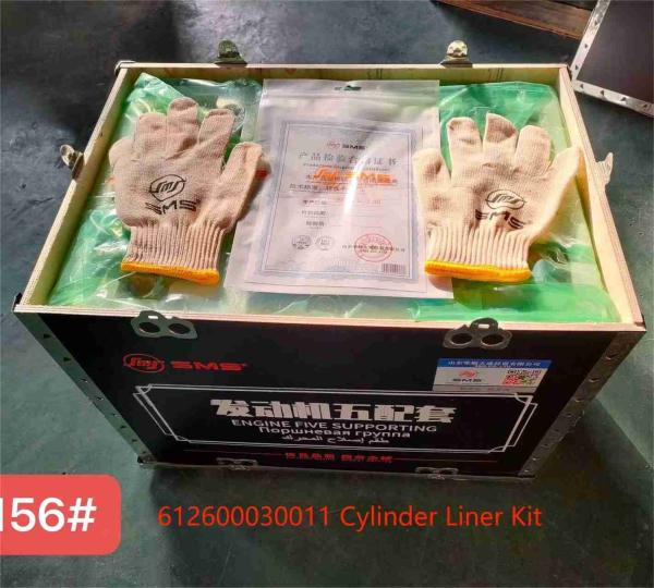612600030011 Automotive Cylinder Sleeves WEICHAI Engine Parts WEICHAI WD615