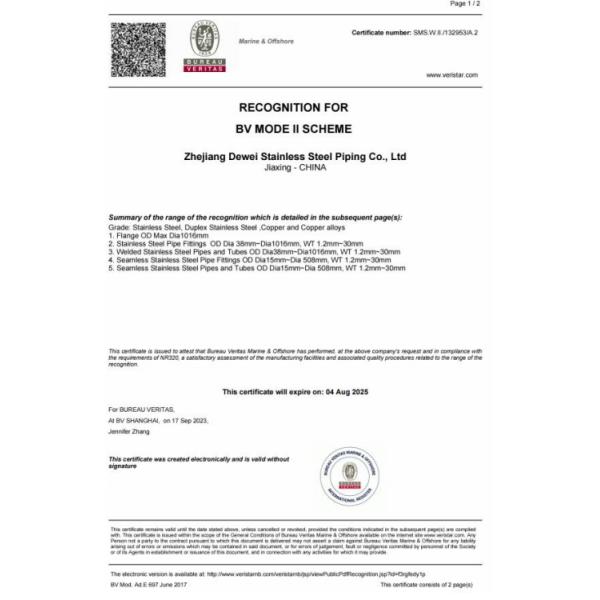 Grade 2 6MM Steel Pipe Fitting 309S 310S Titanium Alloy Pipe Fittings