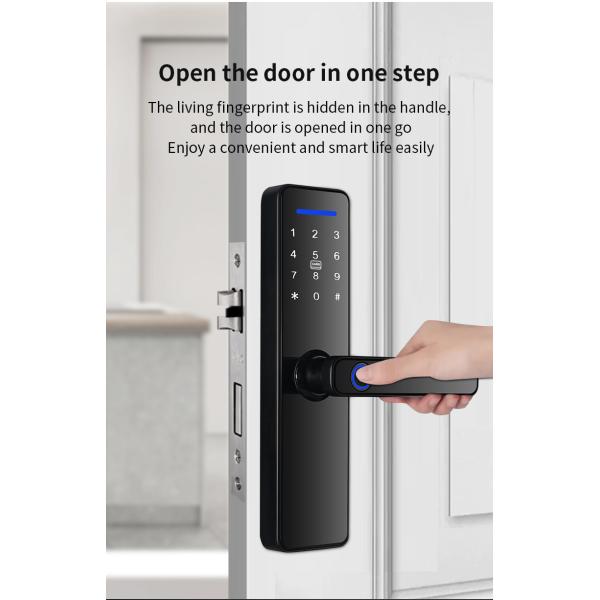 Qleung S811 High Quality Smart Digital Fingerprint Door Lock Tuya Wifi TTlock Remote Control Smart Home Door Lock