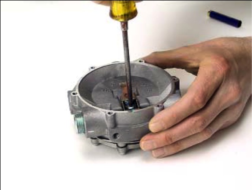 Silicone Diaphragm Model J  IMPCO Repair Kits