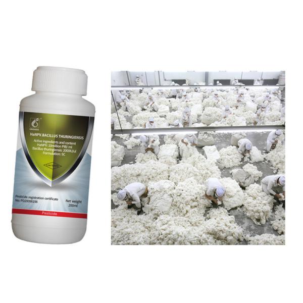 Cotton Crop Pesticides Pure Biological Preparation Cotton Planting Farm Control Pest