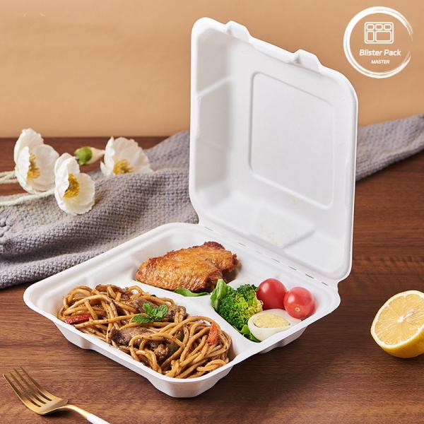 PFAS Free Compostable Clamshell Lunch Box Fuling Biodegradable Bagasse Pulp Fast Food