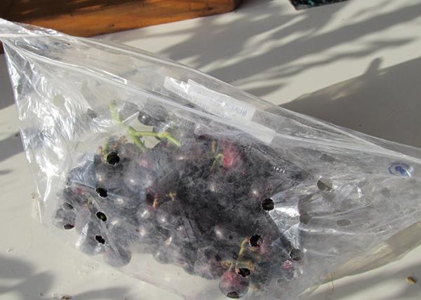 Punctures Proof Fruit Plastic Bag FDA Standard , Customized Plastic Bags For Fruits And Vegetables