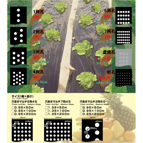 Agriculture Ground Cover/Mulch Film/Weed Mat,Biodegradable black and white film