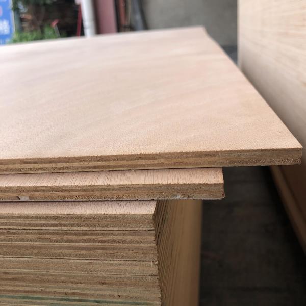 2440x1220mm Placa de madeira compensada folheada para armários móveis