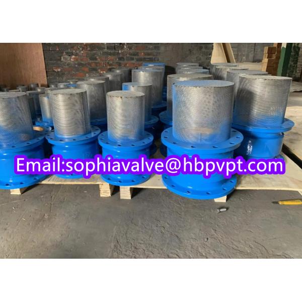 150lb ANSI stainless steel screen cast iron flanged foot valve