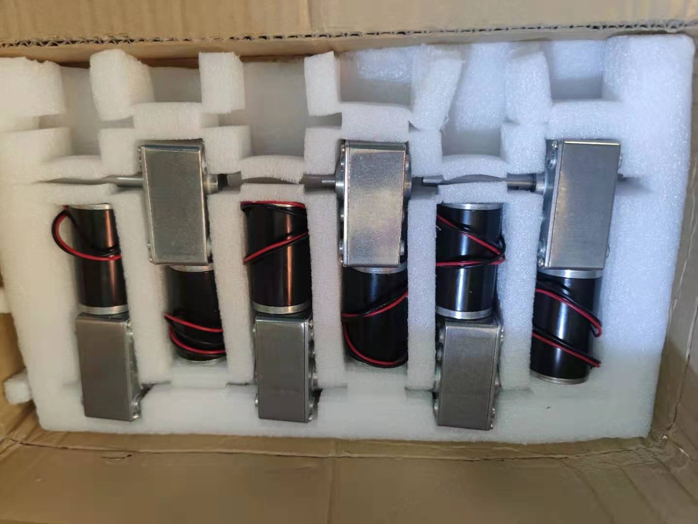 Собственная личность мотора ROHS шестерни DC 30RPM 4.55W безщеточная запирая мотор шестерни червя