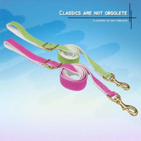 Durable Running Canvas Padded Pet Dog Leash , Colorful European Dog Leash