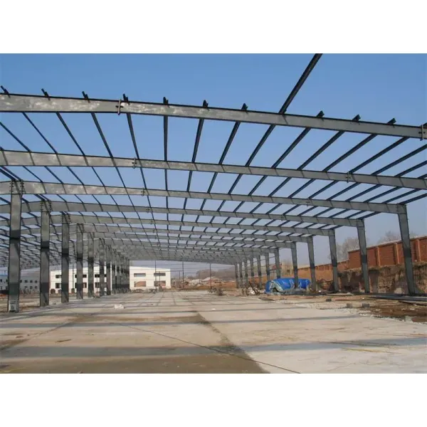 Steel Reasonable Price Prefab Warehouse/Storage House