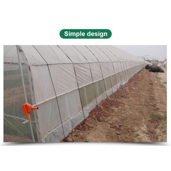 Поддержка Выбор случая Маленькая томатная гидропоническая теплица с обозначенной длиной