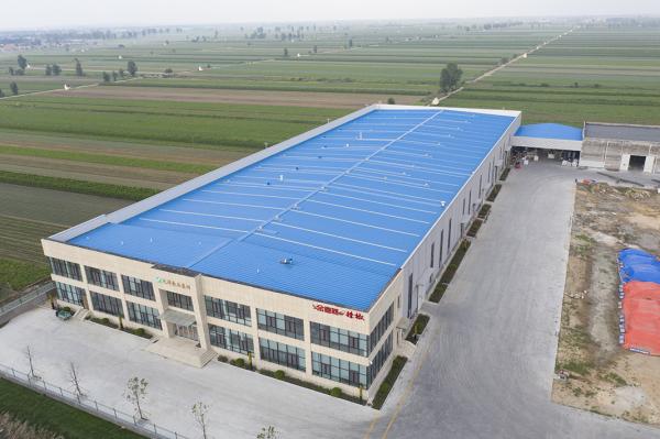 Large Span Metal Prefabricated Building Galvanizing Production Factory Workshop