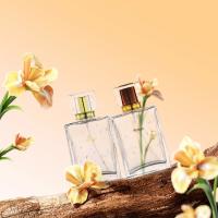 Garrafa de vidro transparente de 50 ml, retangular transparente, com tampa transparente para garrafas de vidro cosméticos