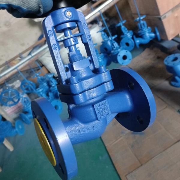 GG25 PN16 DIN globe valve manufacturer