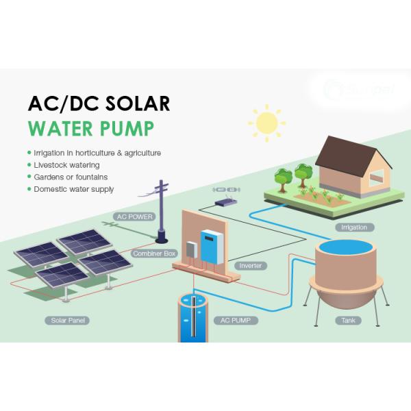 45 метров голова 1700 л/ч Дисциплина погружаемый скважина солнечный насос для воды для сельского хозяйства