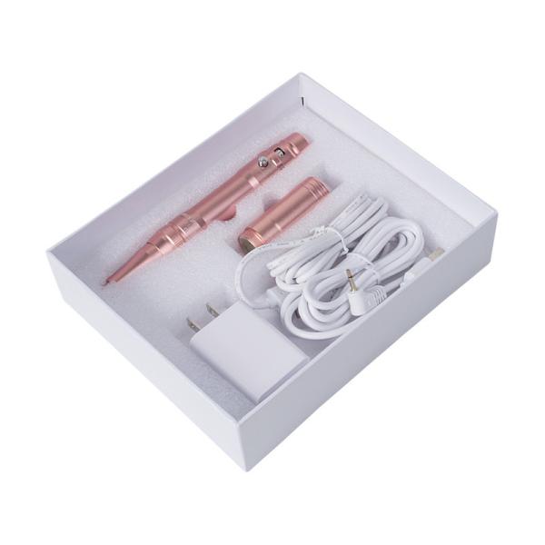 22000-35000rpm Electric Permanent Makeup Tattoo Kit Eyebrow Tattoo Gun