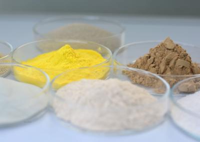 Peptidase, aminopeptidase, Enhance Amino Nitrogeno Content Enzima de grau alimentar