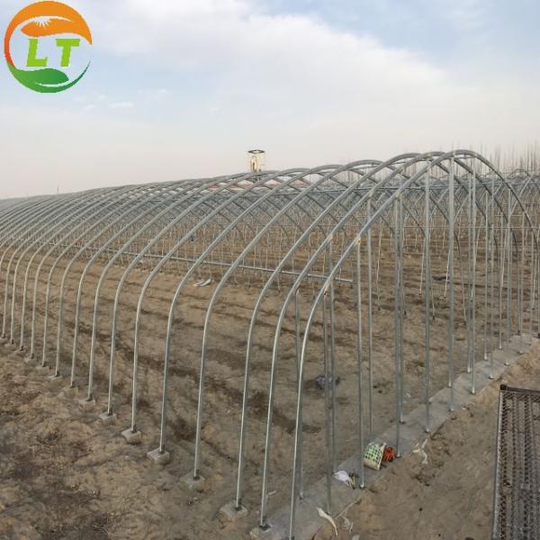 Single Layer Chinese Greenhouse Frame for Compression Resistant and Customizable Design