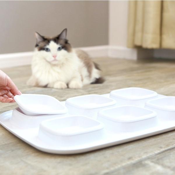 Шар шара 6 шара кота двойной завивая течебезопасные поставки кота шара любимца шара воды кота шара кошачьей еды