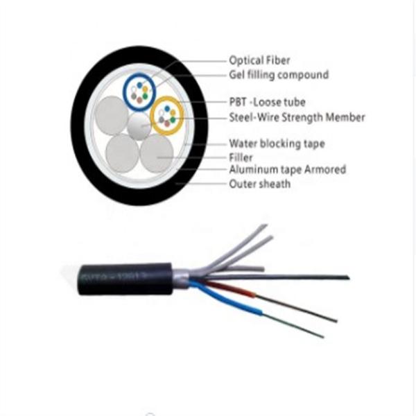 1 2 Core G657 G652 G655 Fiber Optic Cable FRP FTTH Drop Cable GJYXFCH