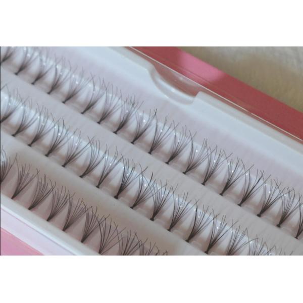 Цена по прейскуранту завода-изготовителя 60pcs/Set макияж расширения ресницы группы ложной ресницы черноты 8/10/12 mm Lashe естественный поддельный длинный
