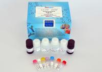 Research Use Florfenicol ELISA Test Kit Florfenicol Accurate Detection